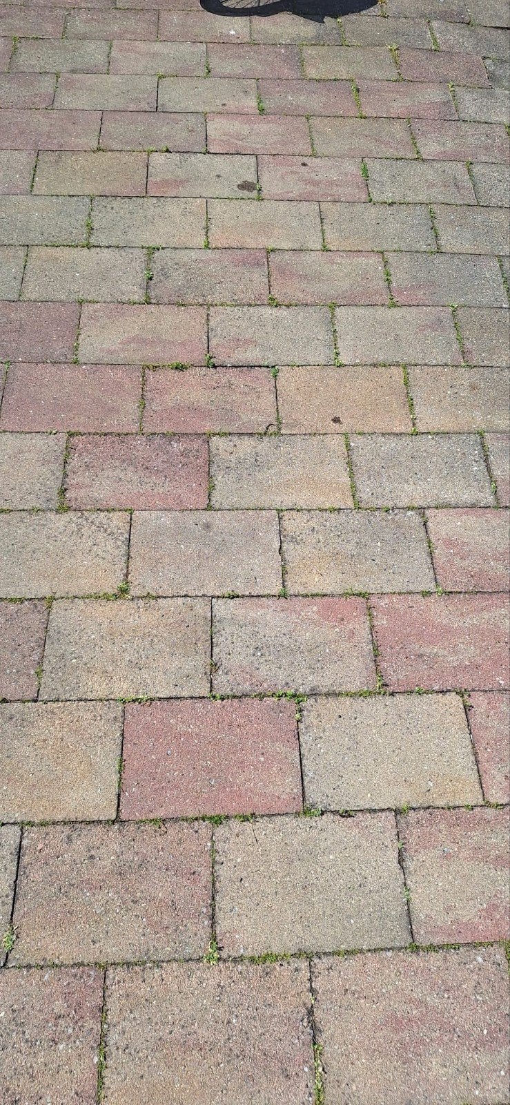 GRATIS: Gebruikte tuintegels/klinkers (5,5 m²), Tuin en Terras, Tegels en Klinkers, Ophalen, Gebruikt, Beton, Klinkers