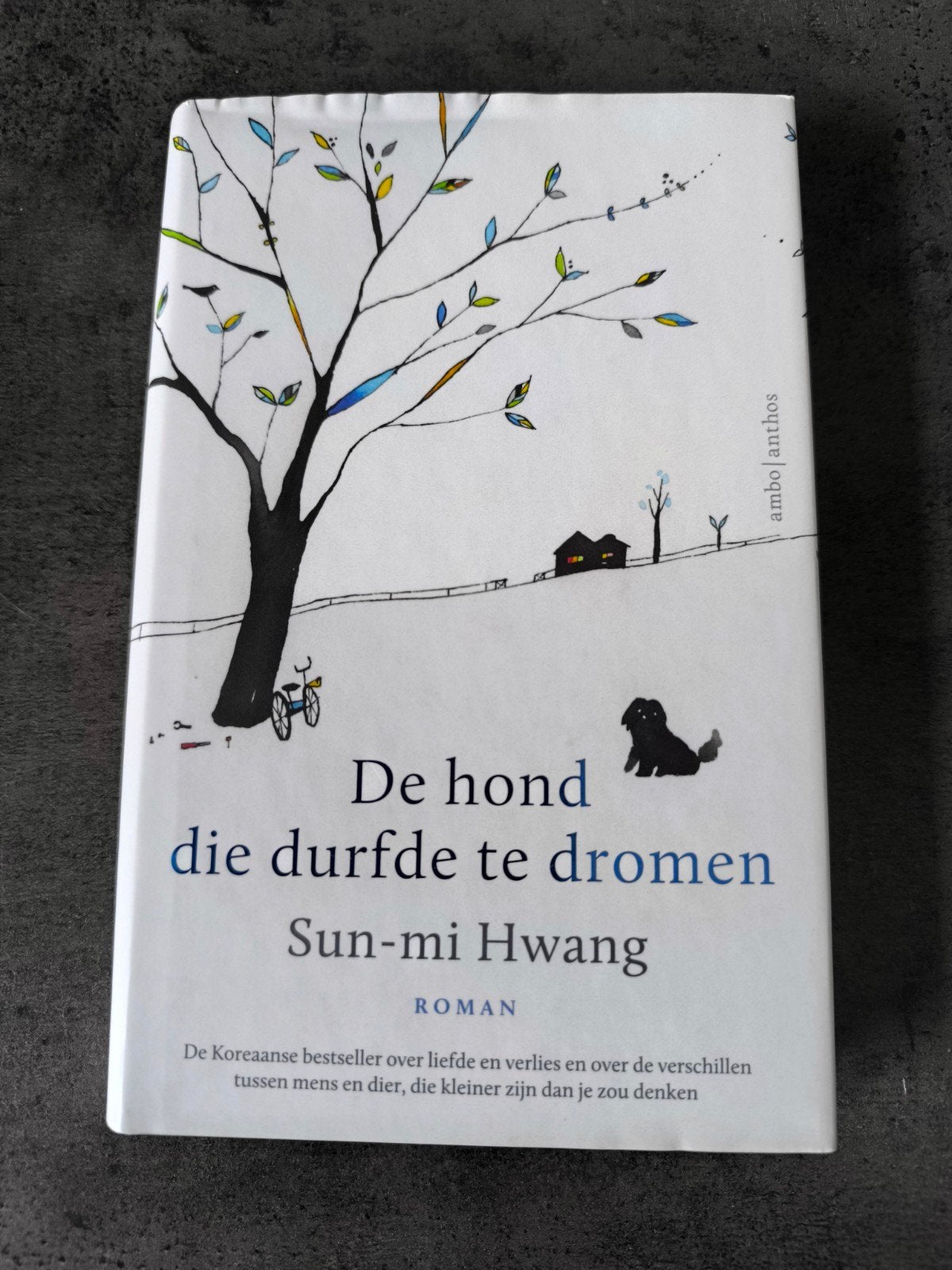 De hond die durfde te dromen - Sun-mi Hwang, Ophalen of Verzenden, Zo goed als nieuw, Sun-mi Hwang