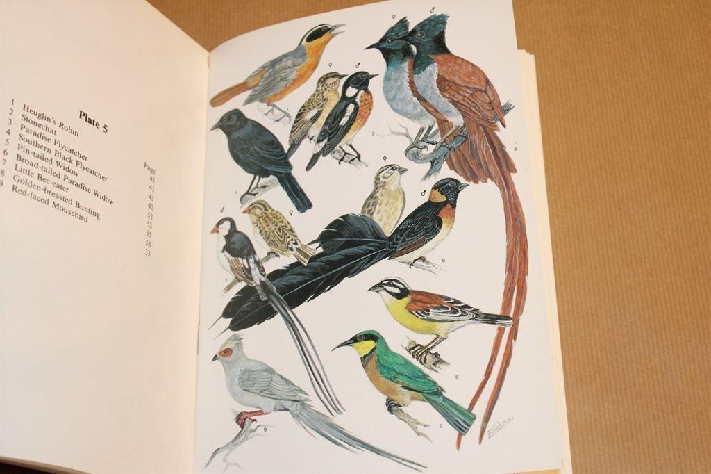 Common Birds of Zambia — Kleurenplaten Door Gabriel Ellison, Ophalen of Verzenden, Gelezen, Vogels