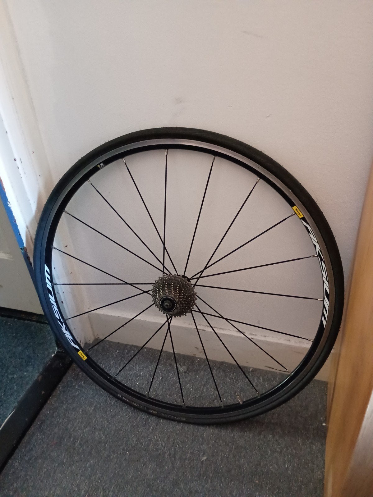 Mavic Aksium Achterwiel, Gebruikt, Aluminium, Mavic, Racefiets