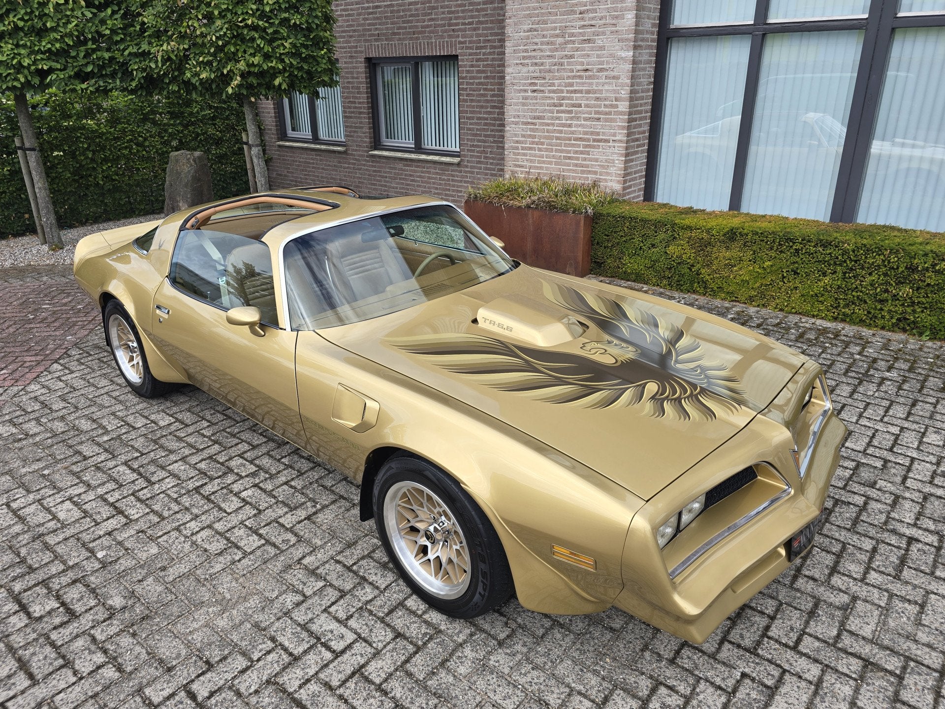 Pontiac Firebird Trans Am 6.6 FW 87 Y88 GOLD SPECIAL EDITION, foto 9