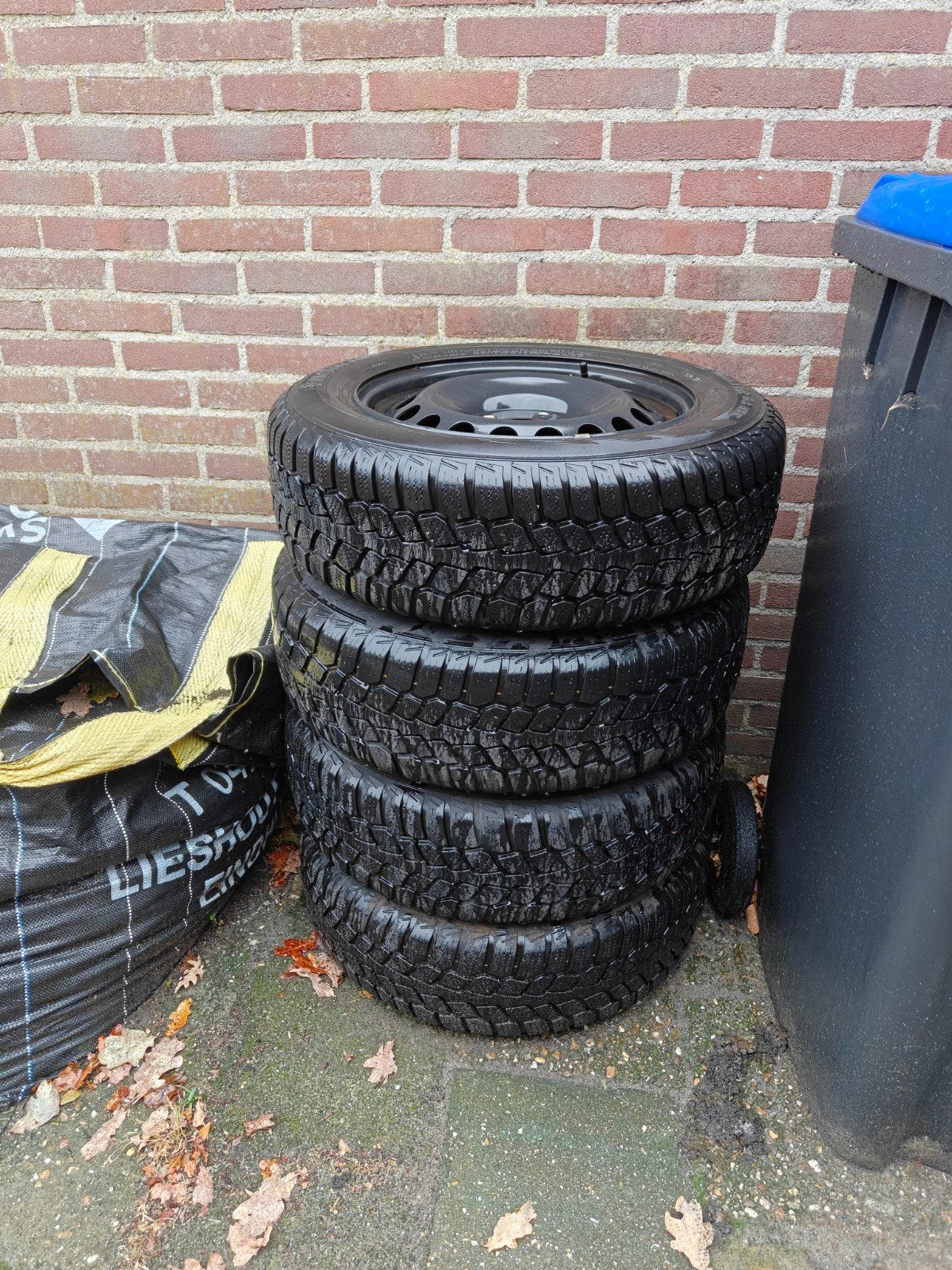 Set van 4 winterbanden op stalen velgen, Ophalen of Verzenden