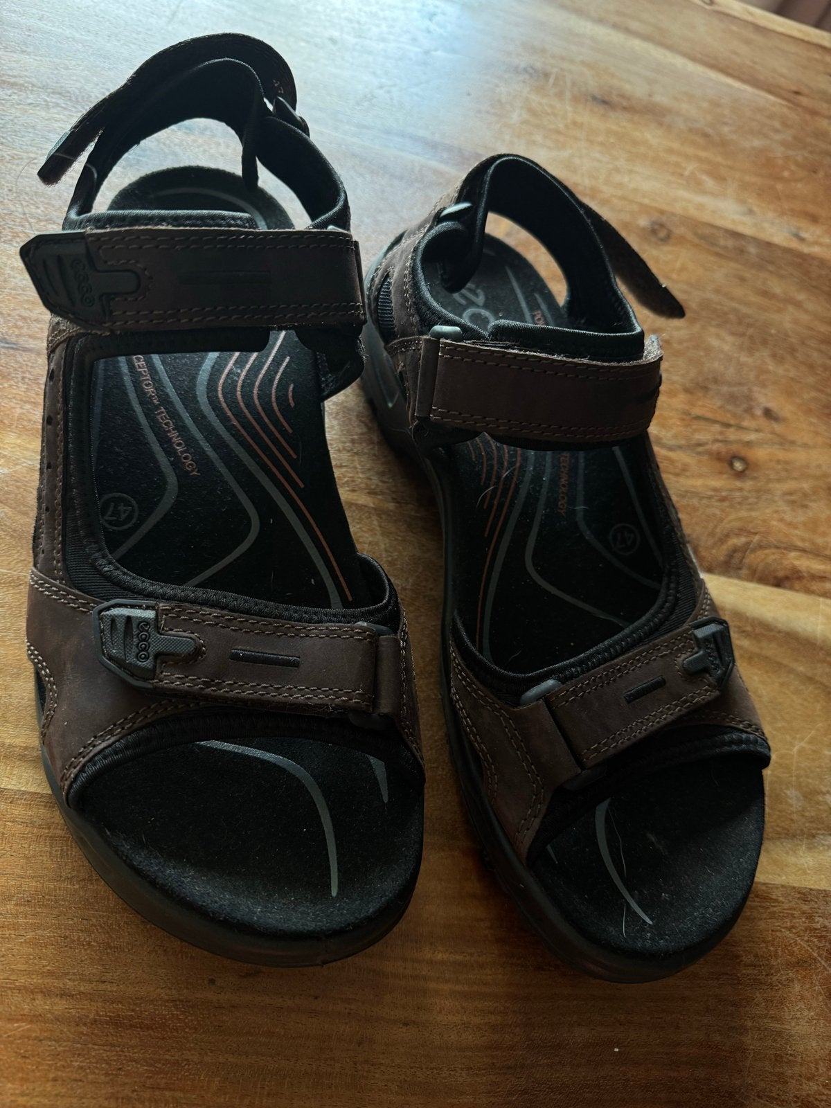 Ecco sandalen maat 47 -  nieuw, Bruin, Nieuw, Ophalen, Sandalen