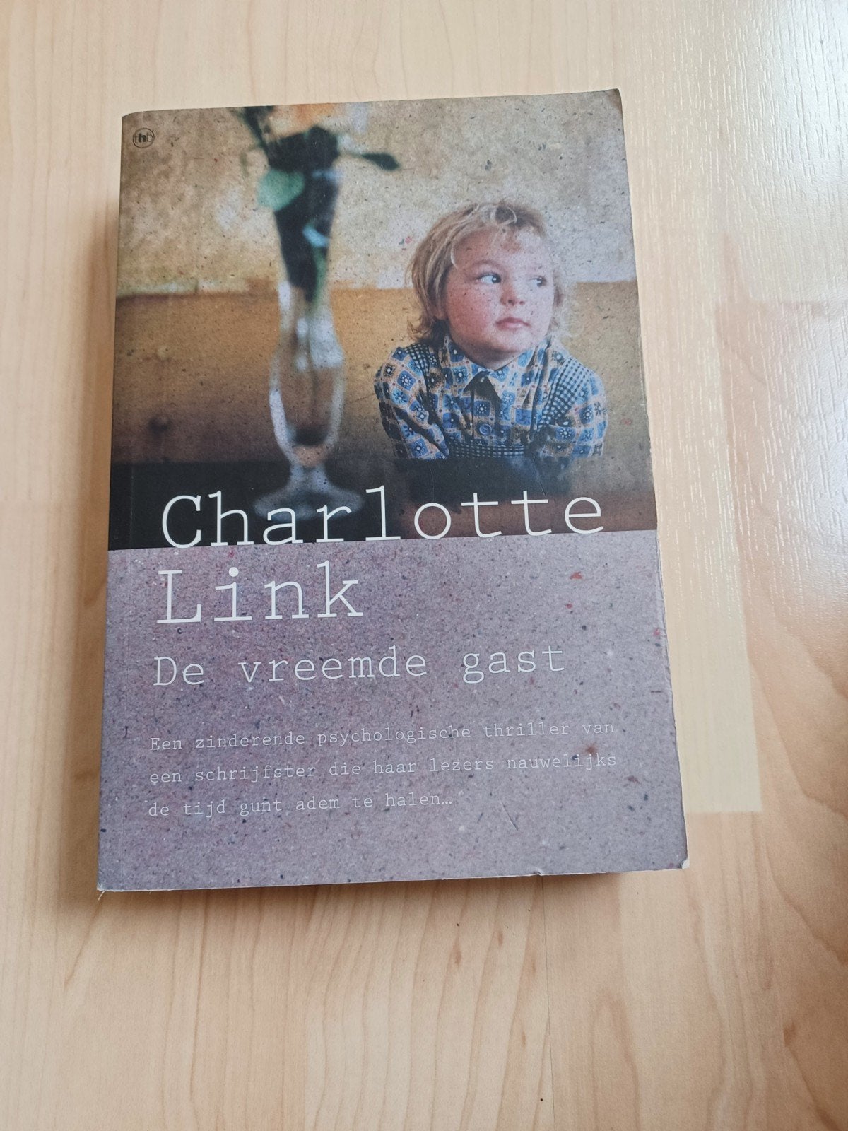 Charlotte Link - De vreemde gast (Thriller), Boeken, Ophalen of Verzenden, Zo goed als nieuw, Charlotte Link, Europa overig