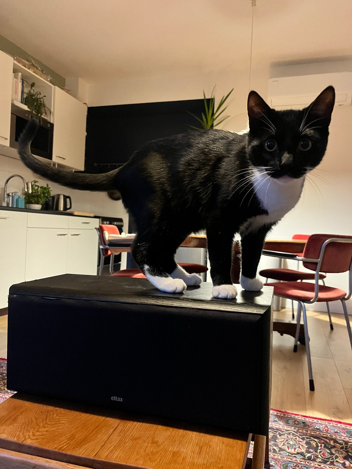 Eltax Monitor Centre speaker - Goed geluid, lichte sporen, Audio, Tv en Foto, Ophalen, Gebruikt