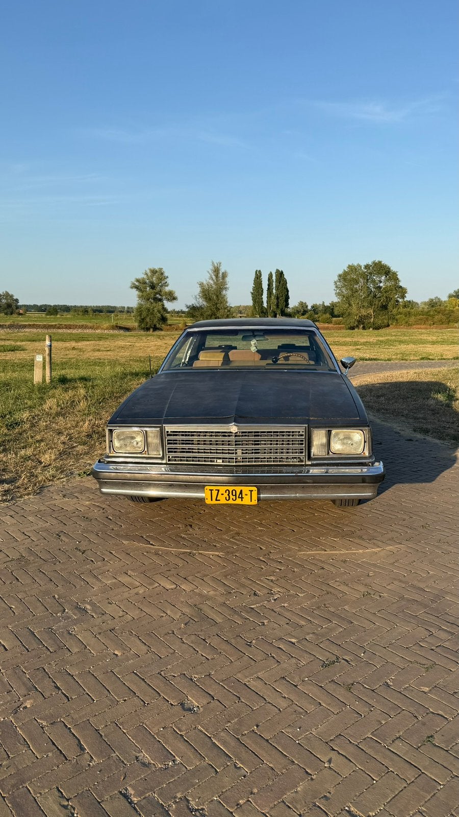 Chevrolet malibu  1978 Zwart v6 3.3, Auto's, 1459 kg, Zwart, Particulier, 6 stoelen