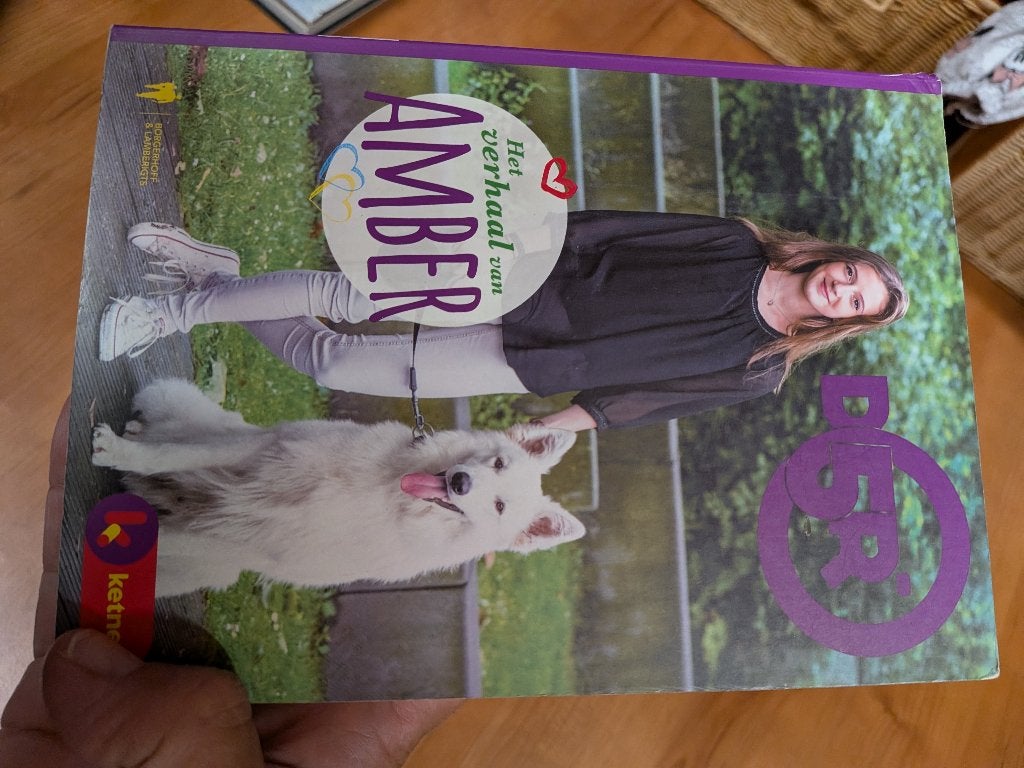 Het verhaal van amber, Ophalen of Verzenden, Zo goed als nieuw