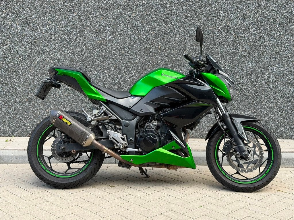 Kawasaki Tour Z 300 ABS