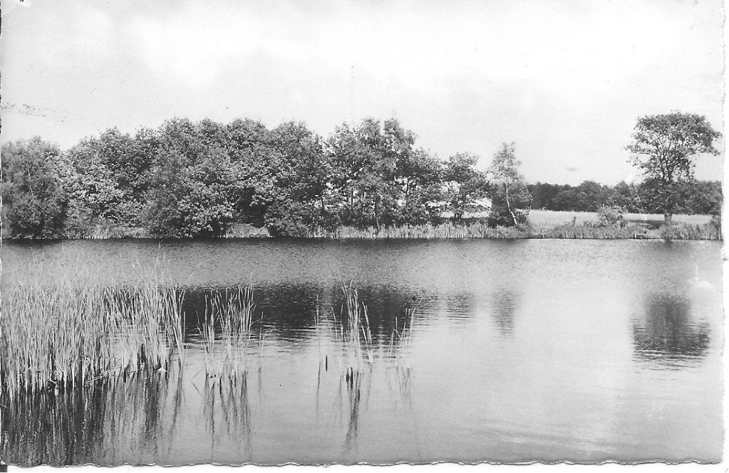 Ansichtkaart Camping De Hondsrug Eext, Drenthe, Ophalen of Verzenden, 1960 tot 1980, Ongelopen, Drenthe