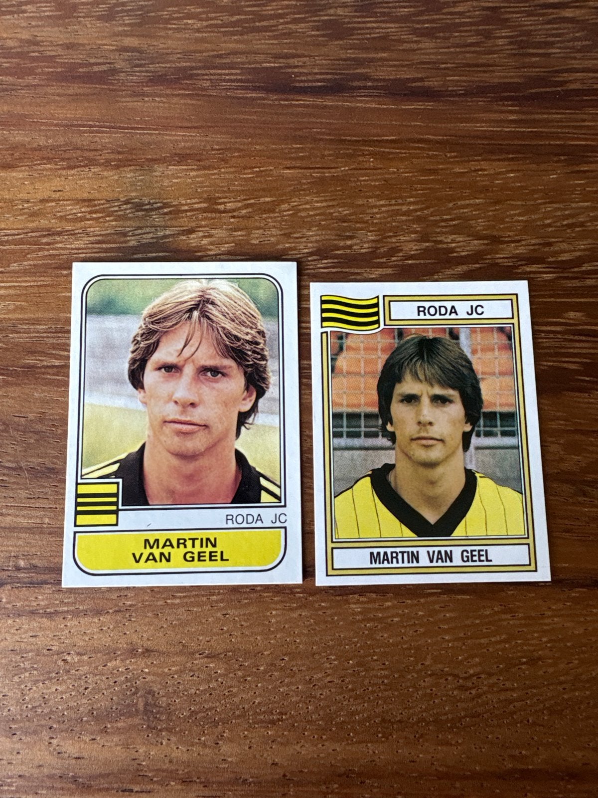 Martin van Geel Roda JC Voetbal 82 & 83 Panini kaarten, Verzamelen, Ophalen of Verzenden, Zo goed als nieuw, Roda JC, Spelerskaart