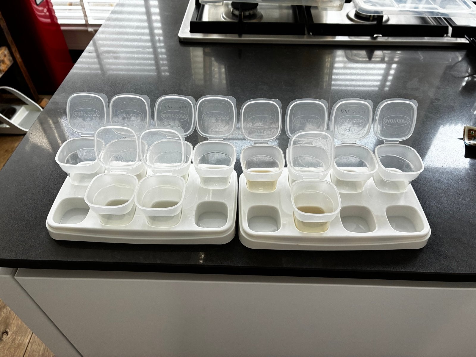 Invries bakjes babyvoeding, Ophalen of Verzenden