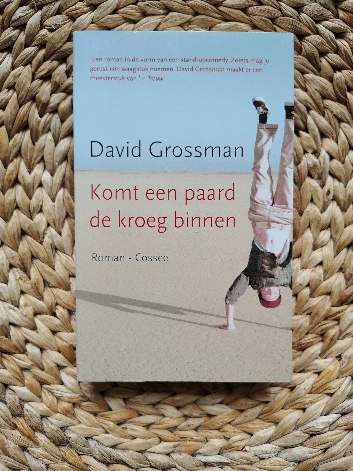 David Grossman - Komt een paard de kroeg binnen, Ophalen of Verzenden, Gelezen