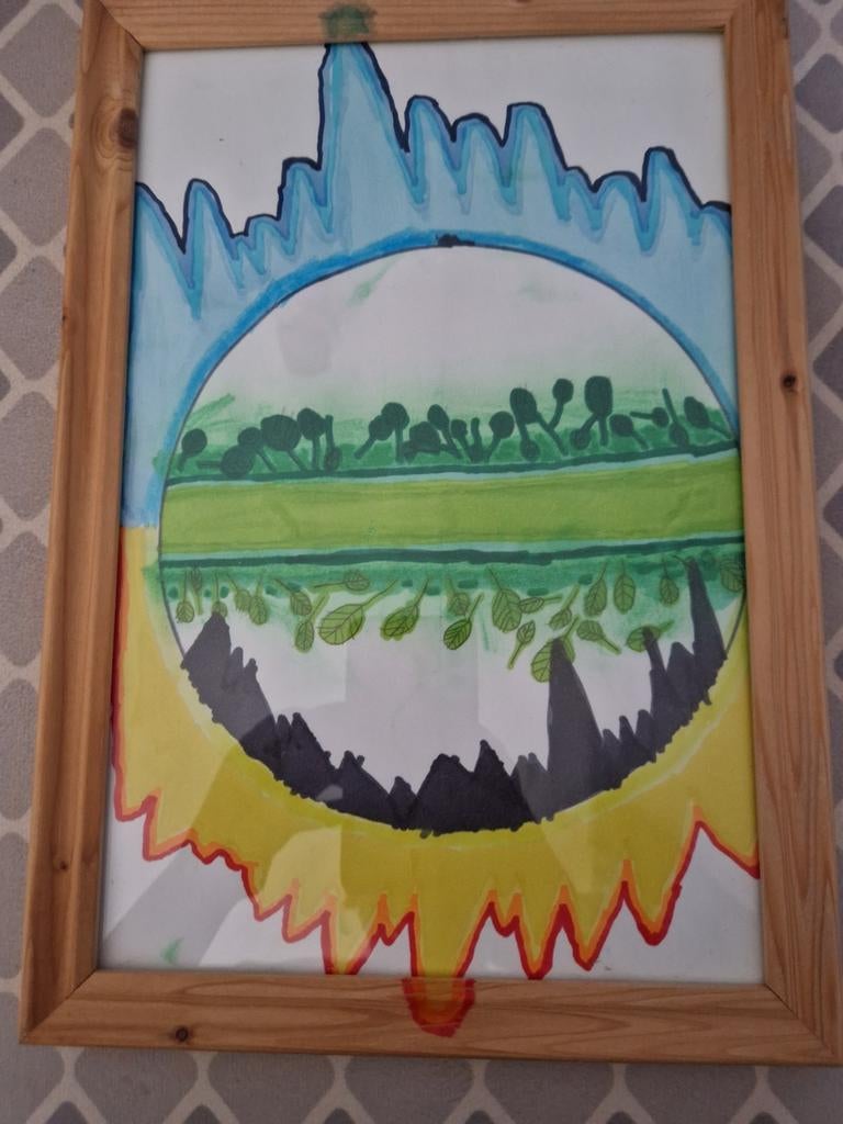 Ice fire and nature 75 euro, Ophalen of Verzenden