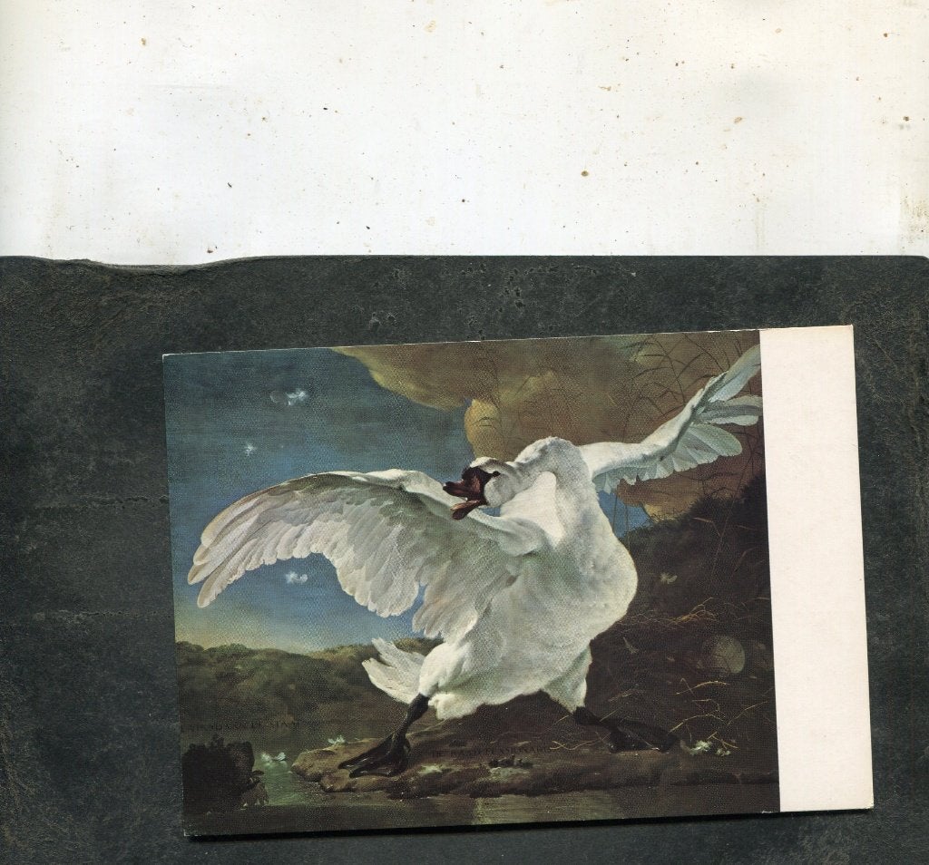 Ansicht Jan Asselyn - De bedreigde zwaan, Verzenden, 1980 tot heden, Ongelopen