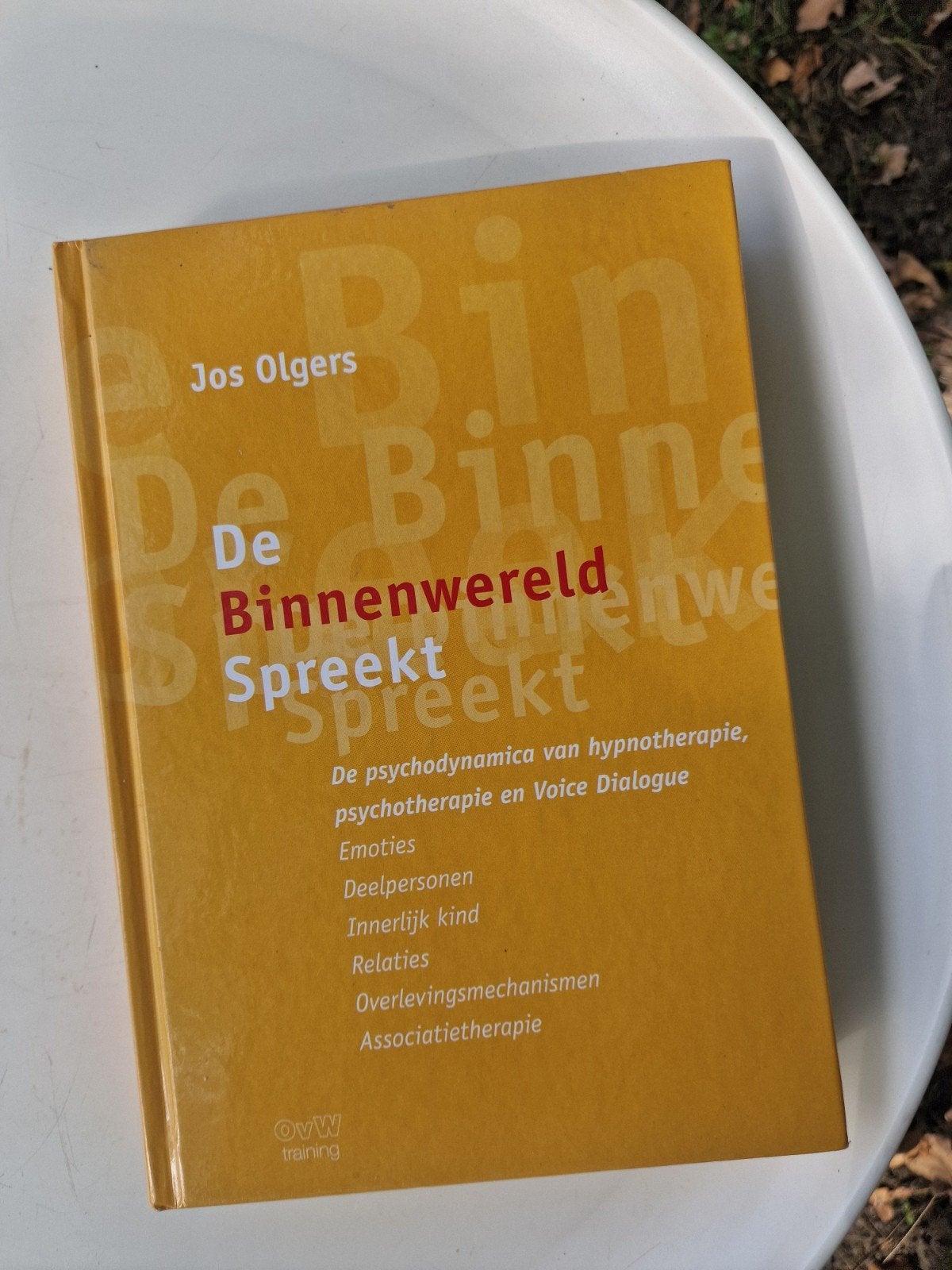 De Binnenwereld Spreekt - Jos Olgers (Psychotherapie), Boeken, Ophalen of Verzenden, Zo goed als nieuw, Jos Olgers