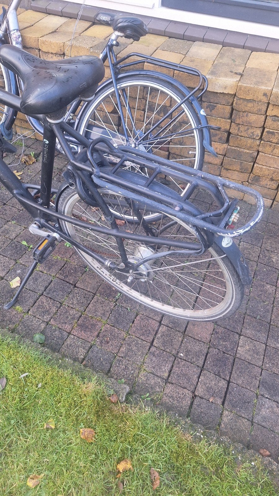 Batavus Mambo Damesfiets - Gebruikt, Ophalen, Velgrem, Versnellingen, Batavus