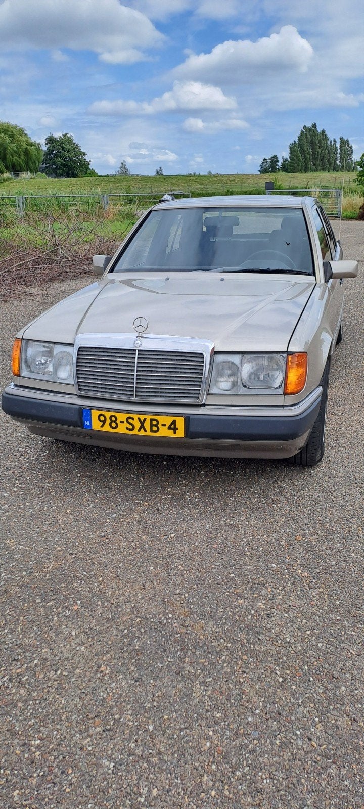 Mercedes-Benz Mercedes 1990 Grijs, 132 pk, Particulier, 2298 cc, Sedan