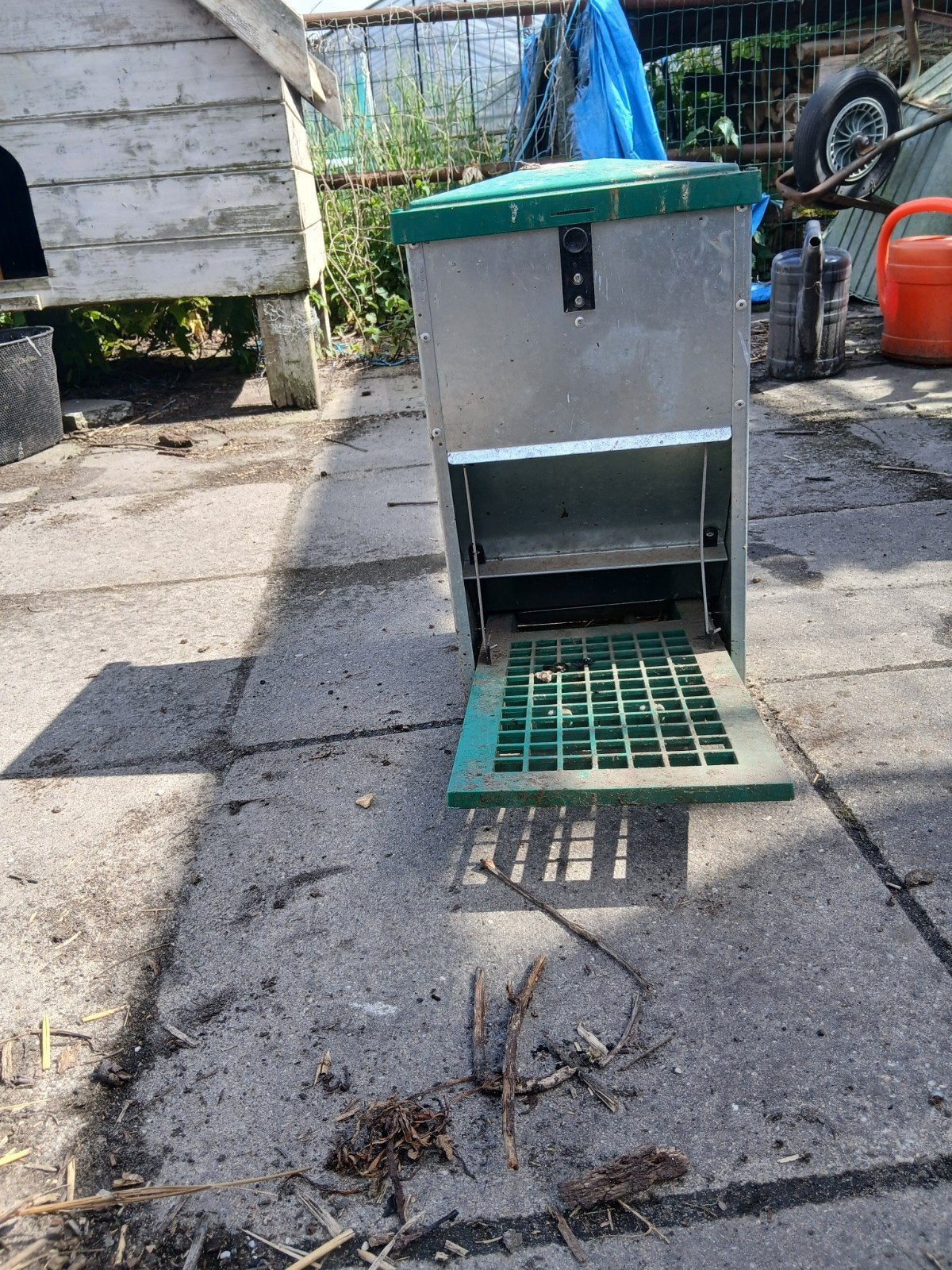 Voeder automaat, Eend