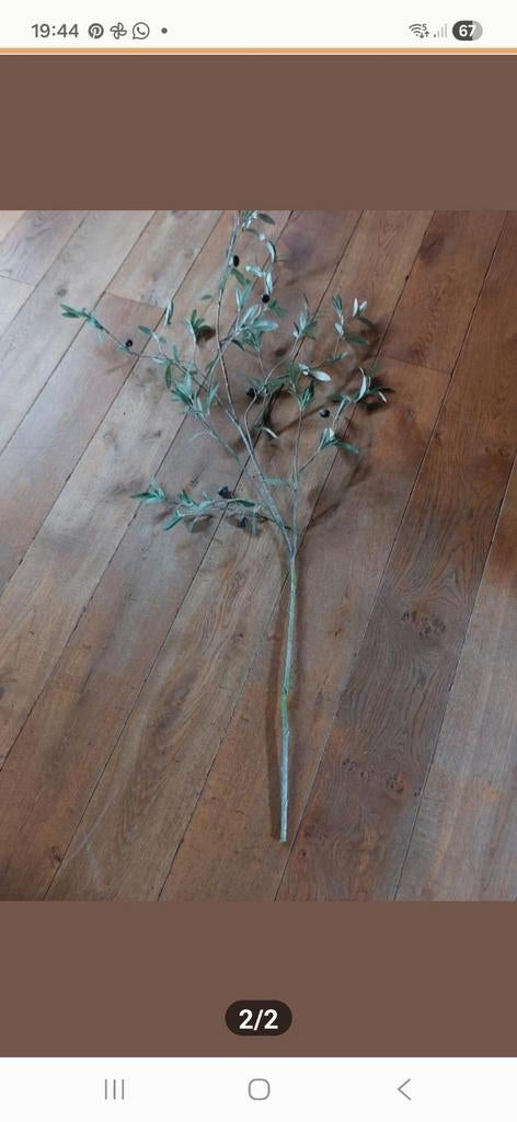 Kunst olijftak., Ophalen