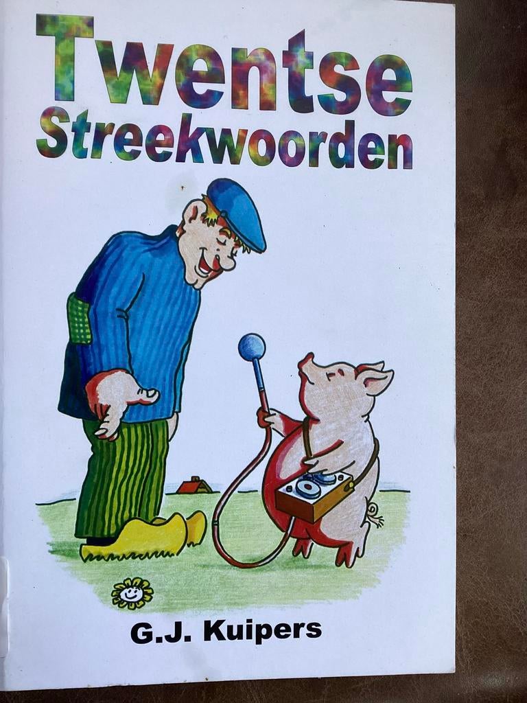 Twentse Streekwoorden - G.J. Kuipers, Boeken, Streekboeken en Streekromans, Ophalen of Verzenden, Gelezen, Overijssel