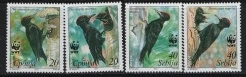 SERVIË 3 - Dieren WWF: vogels (zwarte specht), Ophalen of Verzenden, Postfris, Dier of Natuur