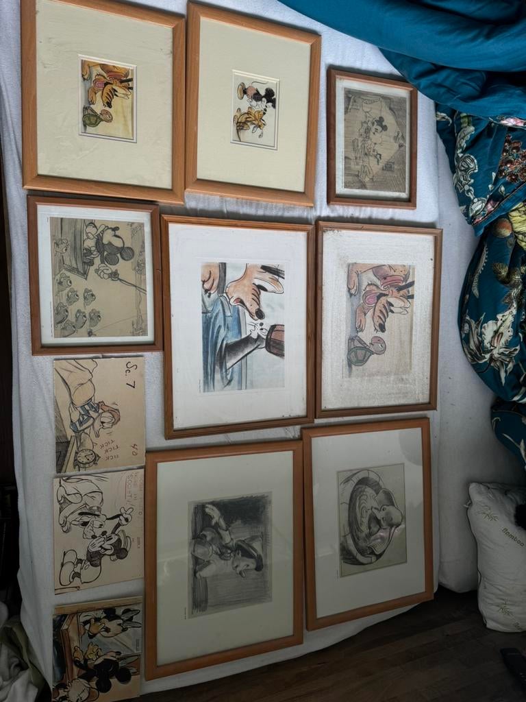 Disney expo schilderijen mooie kwaliteit waren duur, Ophalen, Zo goed als nieuw, Hout, Minder dan 50 cm
