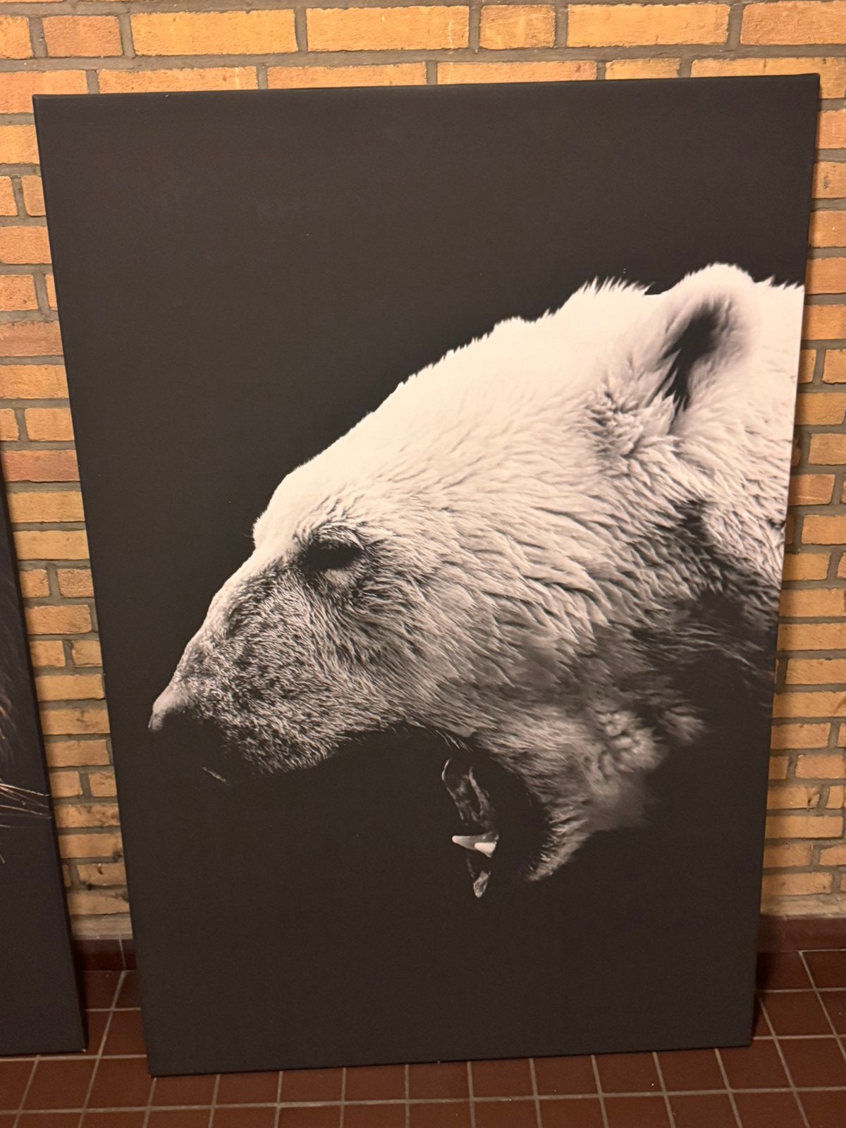 Canvas Poster/Portret, Ophalen, Zo goed als nieuw