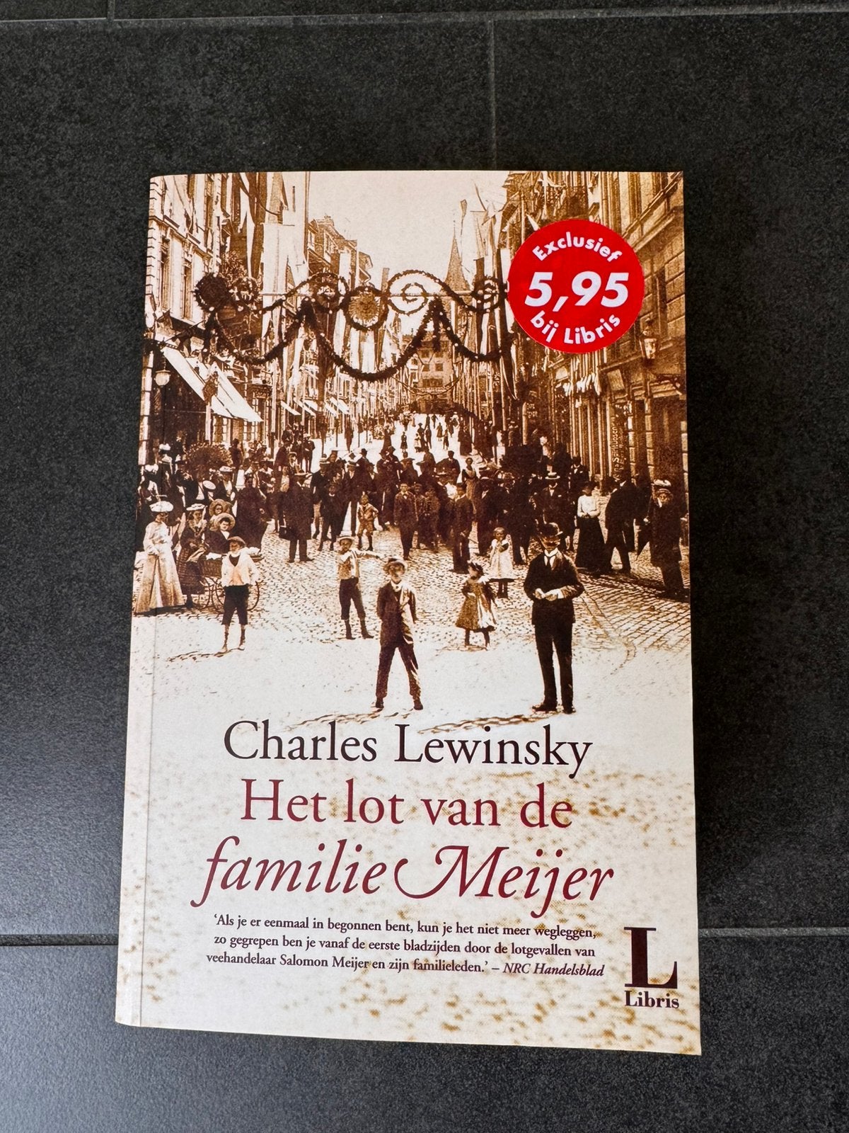 Charles Lewinsky, Het lot van de familie Meijer, Boeken, Ophalen, Zo goed als nieuw
