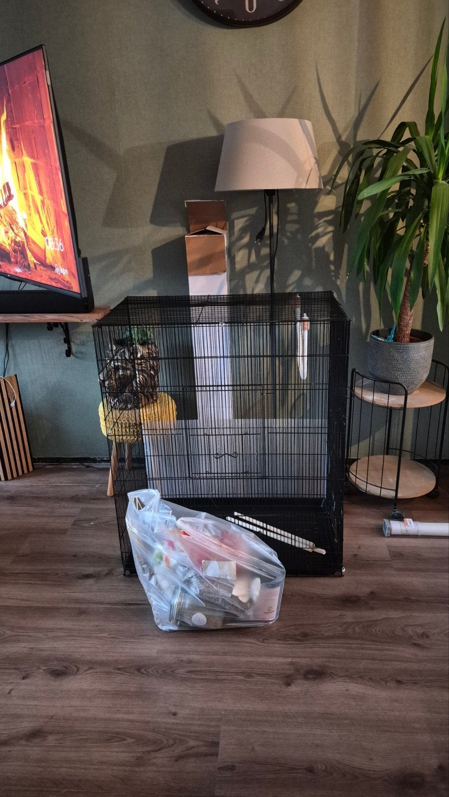 vogelkooi groot, Ophalen, 110 cm of meer, Minder dan 65 cm