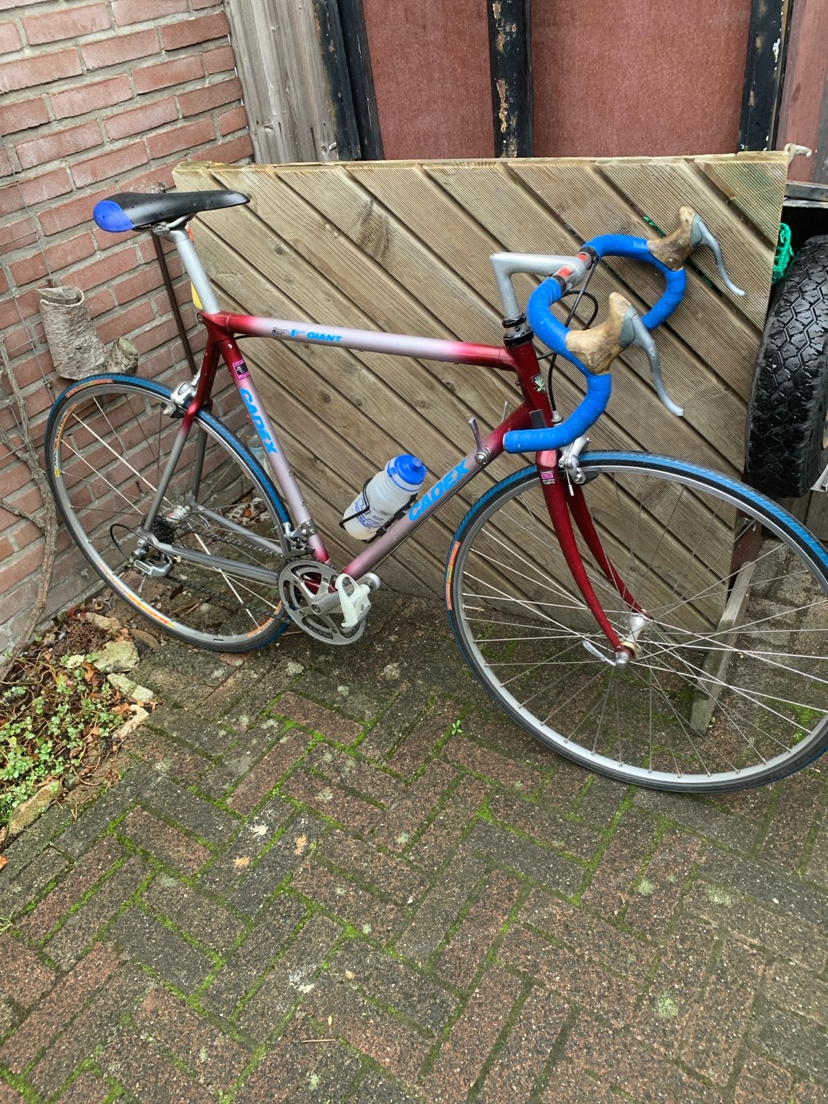 Klassieke Giant Cadex racefiets - Frame 57 cm, Gebruikt, Aluminium, Meer dan 20 versnellingen, 53 tot 57 cm