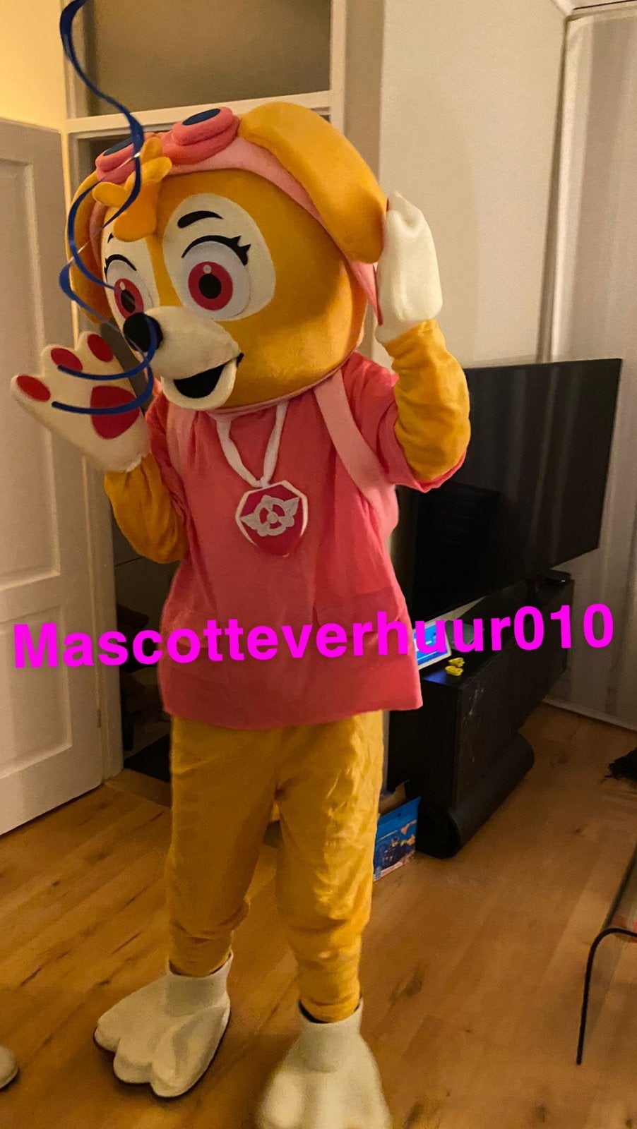 Paw patrol Skye mascotte te huur, Ophalen, Zo goed als nieuw, Verjaardag