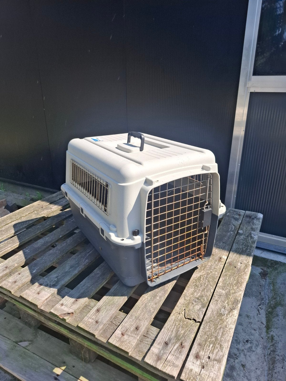Reisbench hond, Ophalen