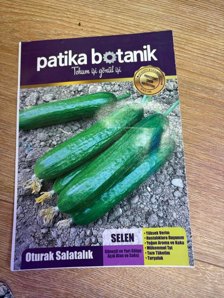 Selen Turkse Komkommer Zaden - Turk Salatalik Tohumu, Tuin en Terras, Ophalen of Verzenden, Voorjaar, Volle zon, Zaad