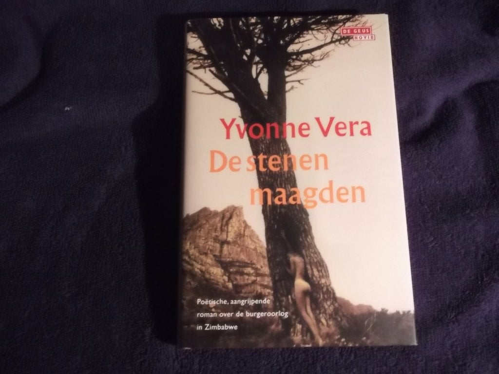 Boek: De Stenen Maagden – Yvonne Vera., Wereld overig, Ophalen of Verzenden, Yvonne Vera., Zo goed als nieuw