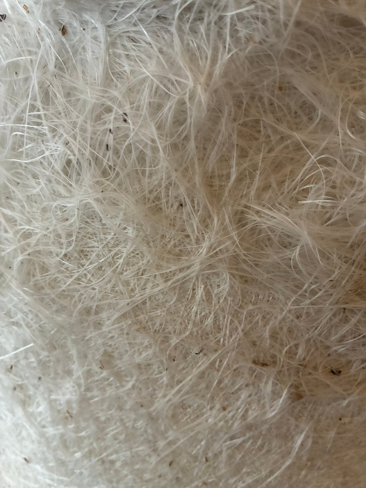 Glasvezel voor polyester reparaties en constructies, Ophalen, Zo goed als nieuw