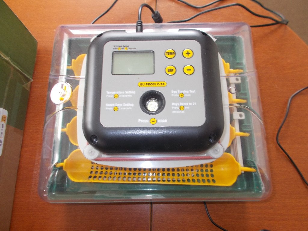 Broedmachine MS vol automatische 24 eieren, Ophalen, Nieuw
