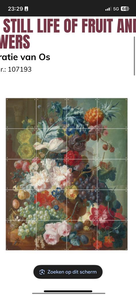 Ixxi schilderij jan van os, Ophalen of Verzenden