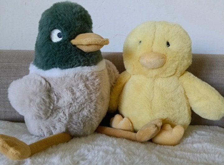 Knuffel eend (en kuiken) van H&M ZGAN, Overige merken, Verzenden, Zo goed als nieuw, Middelgroot (20 tot 80 cm)