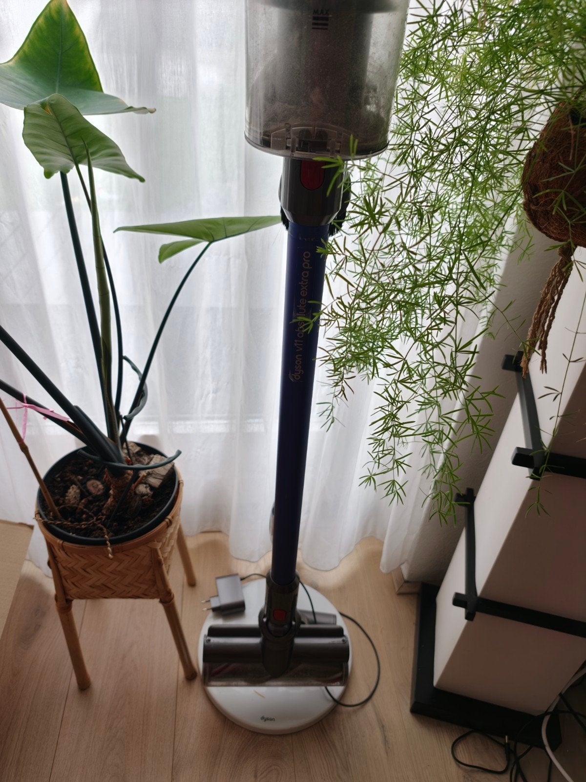 Dyson V11 Absolute Pro stofzuiger