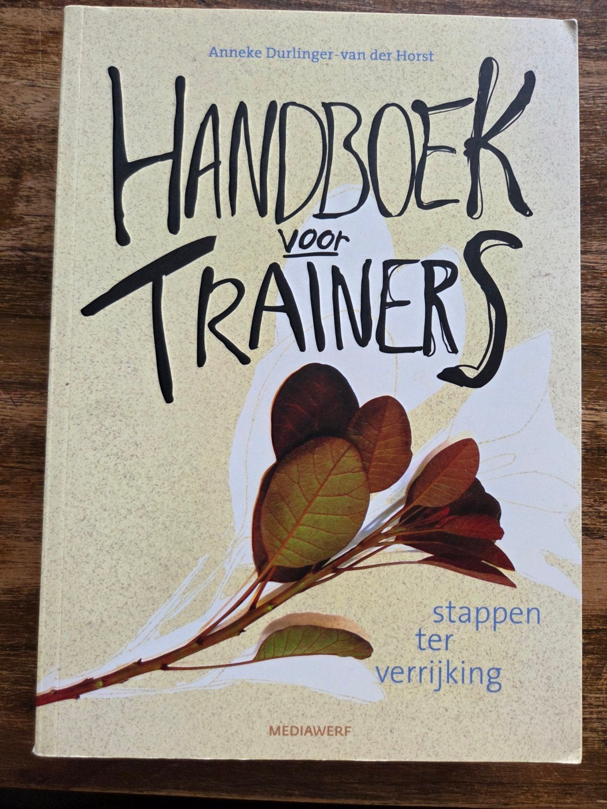 Handboek voor Trainers: Stappen ter Verrijking, Boeken, Verzenden, Zo goed als nieuw, Anneke Durlinger-van der Horst