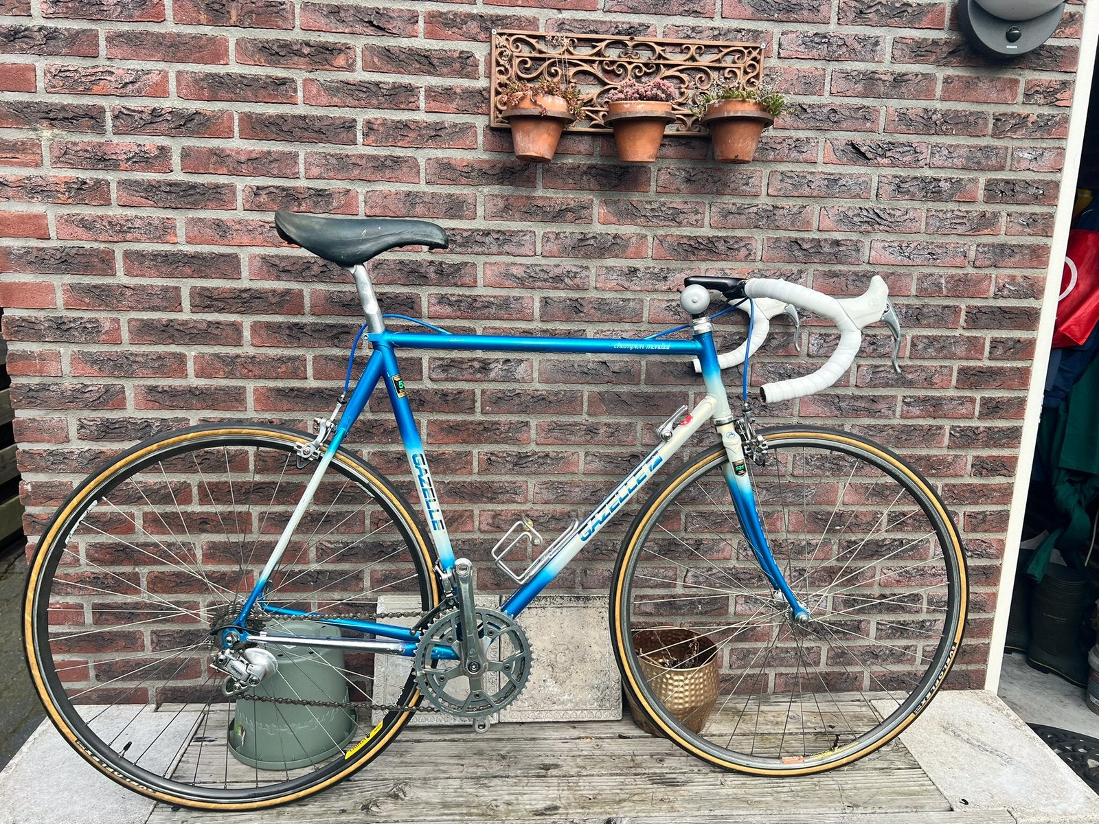 Gazelle Champion Mondial AA-Super 1983, Fietsen en Brommers, Ophalen, Jaren '60 of nieuwer, Velgrem, 55 tot 59 cm