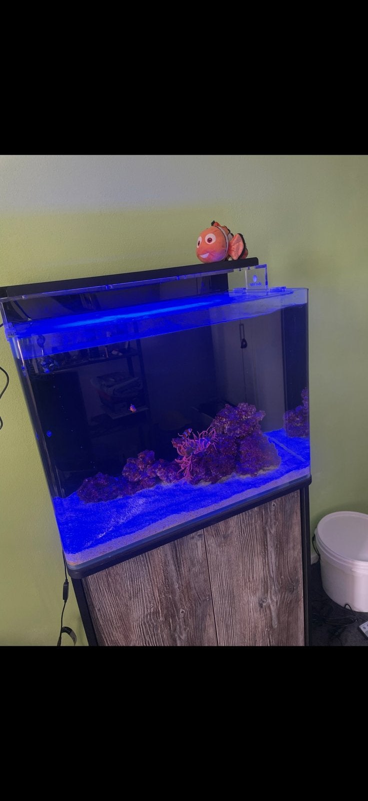Zee/Aquarium blue marine 120, Ophalen, Zo goed als nieuw, Leeg aquarium