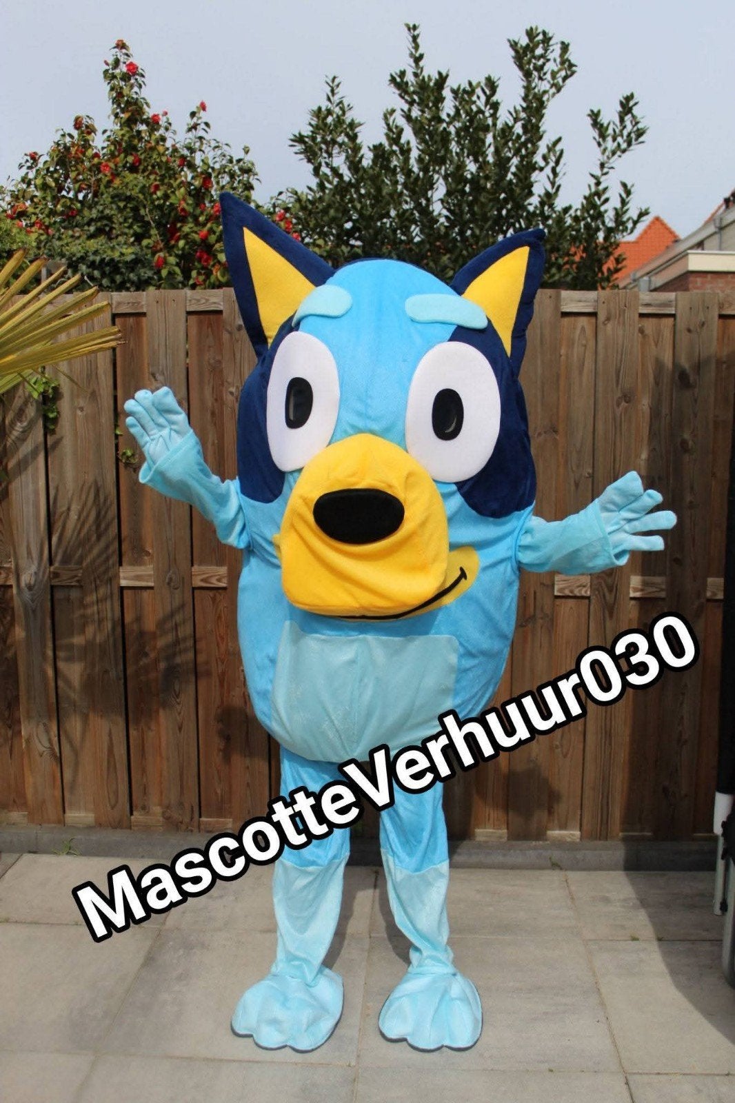 bluey mascotte komt bij u op huisbezoek huren acteur, Hobby en Vrije tijd, Ophalen