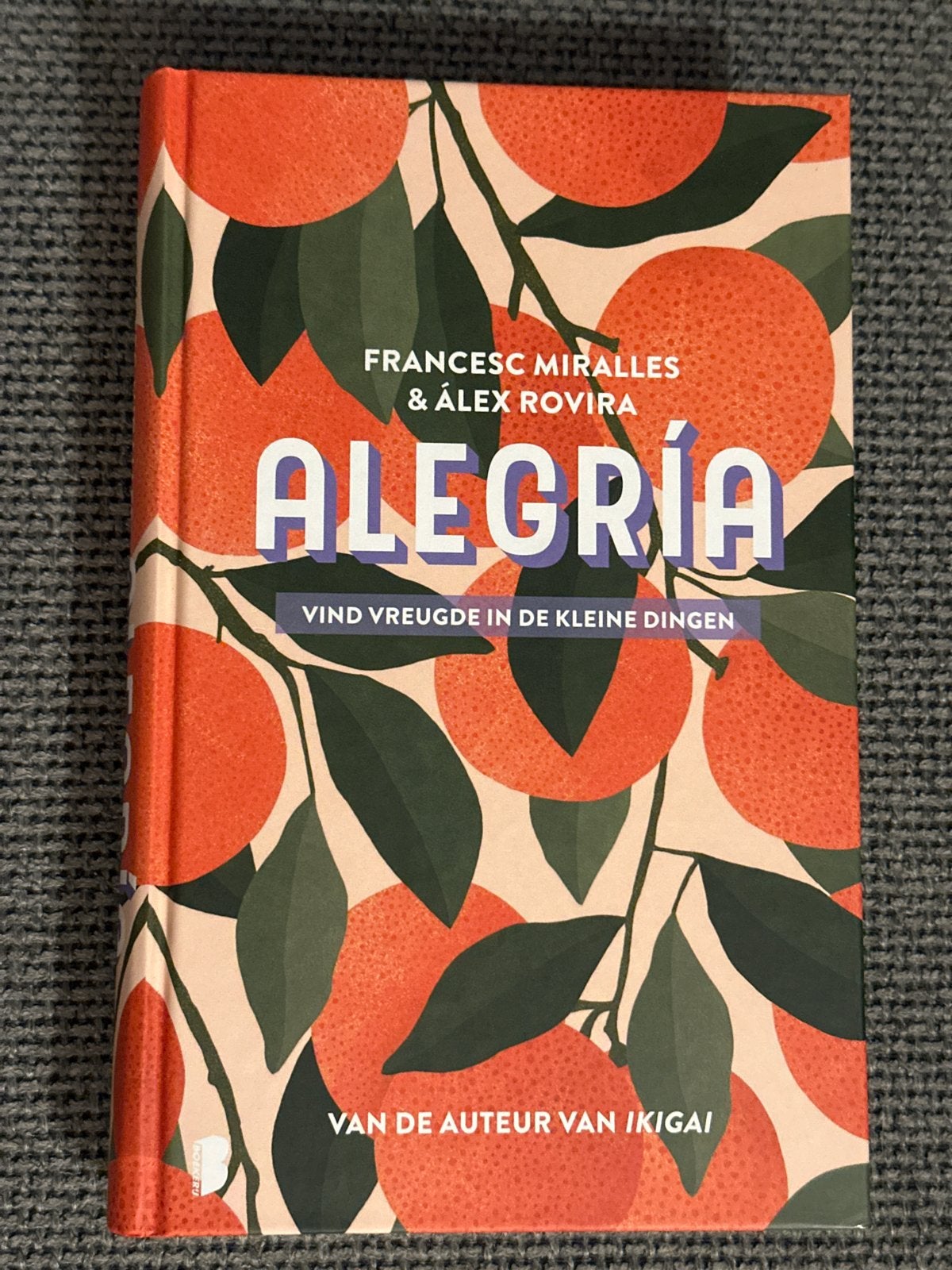 Alegría - Vind vreugde in de kleine dingen, Boeken, Ophalen of Verzenden, Nieuw