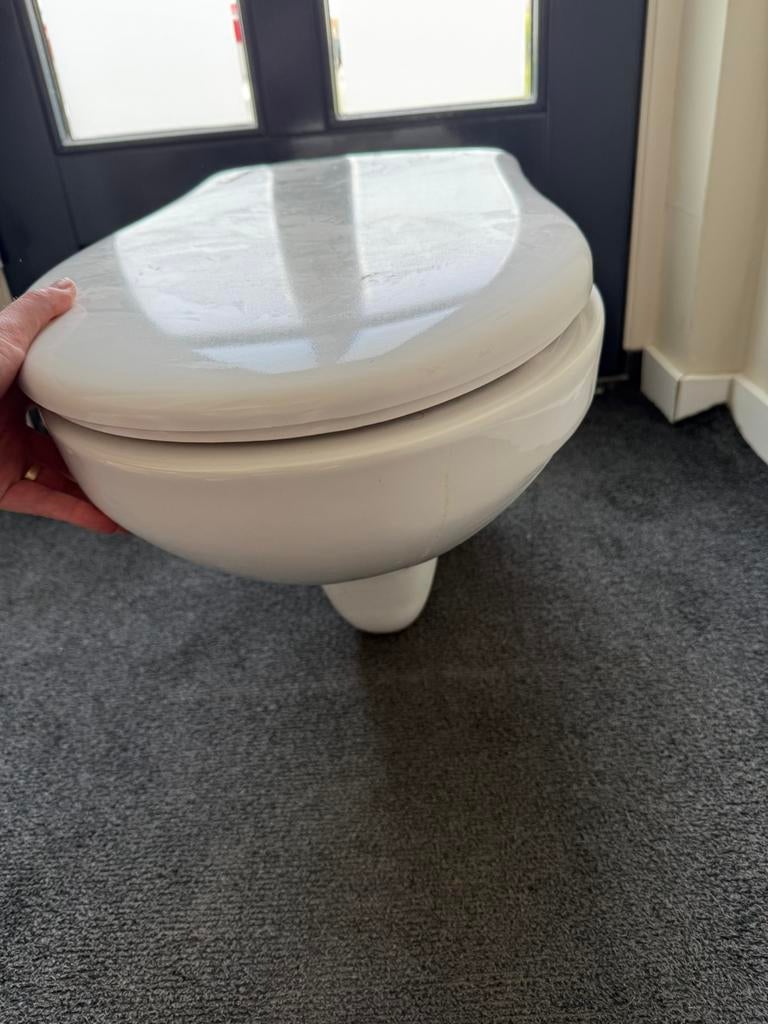 wc pot wit, Doe-het-zelf en Verbouw, Sanitair, Ophalen, Gebruikt, Toilet