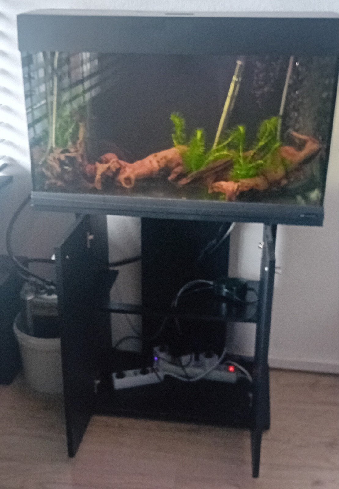 Aquarium  80x50x35  ( Leeg ), Ophalen of Verzenden, Inclusief deksel, Gebruikt, Gevuld zoetwateraquarium