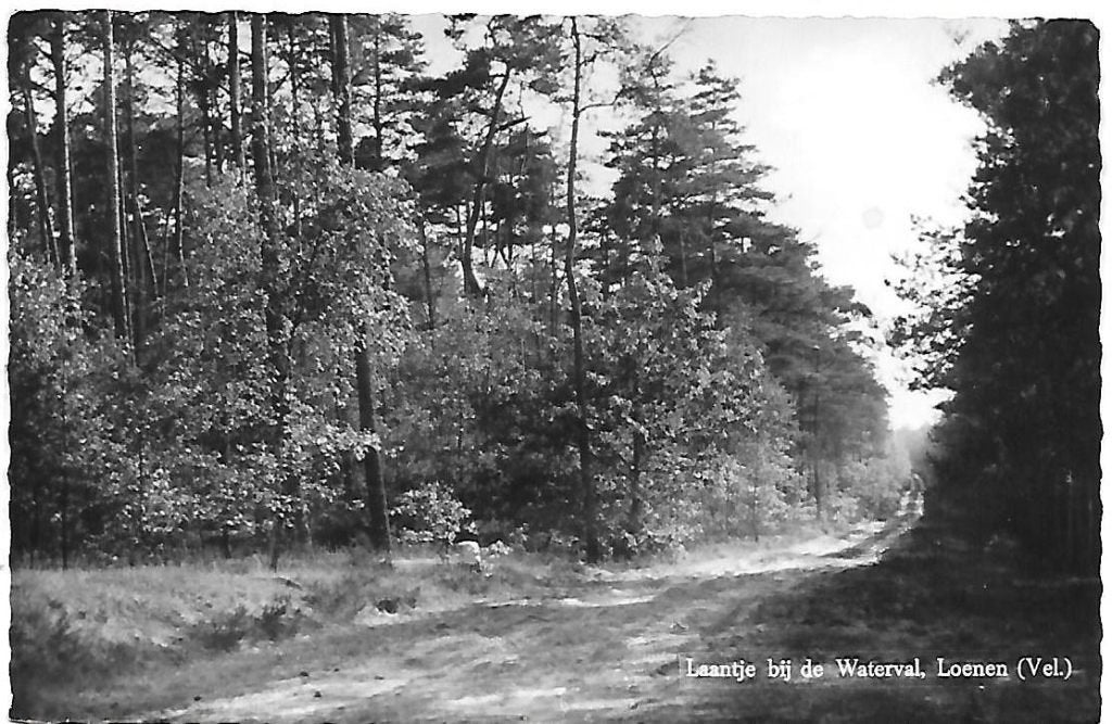 Loenen Laantje bij waterval Oude Gelopen ansichtkaart B868, Ophalen of Verzenden, 1980 tot heden, Gelopen, Gelderland