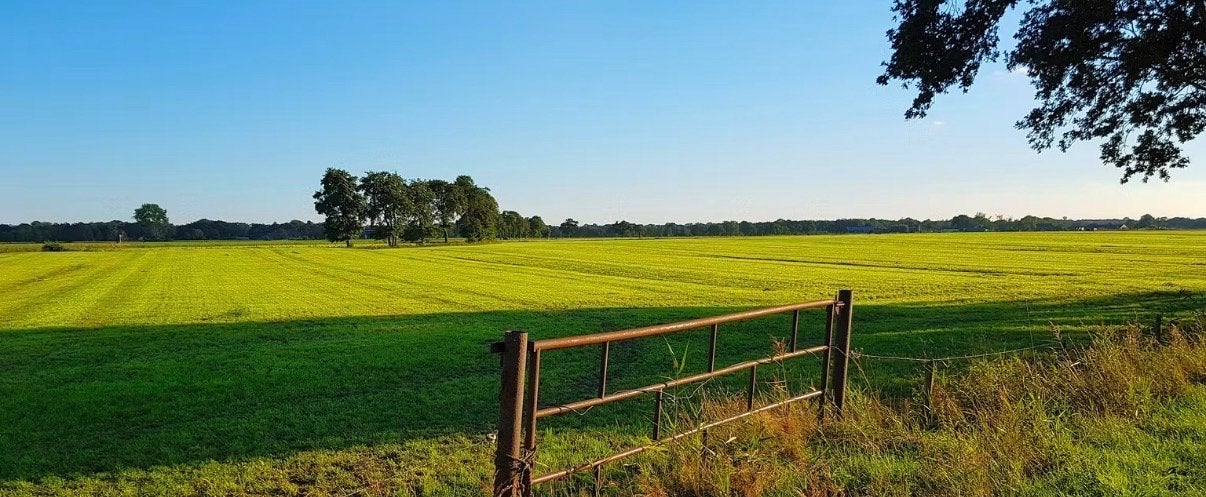 Gezocht weidegang / weiland / weide, Weidegang