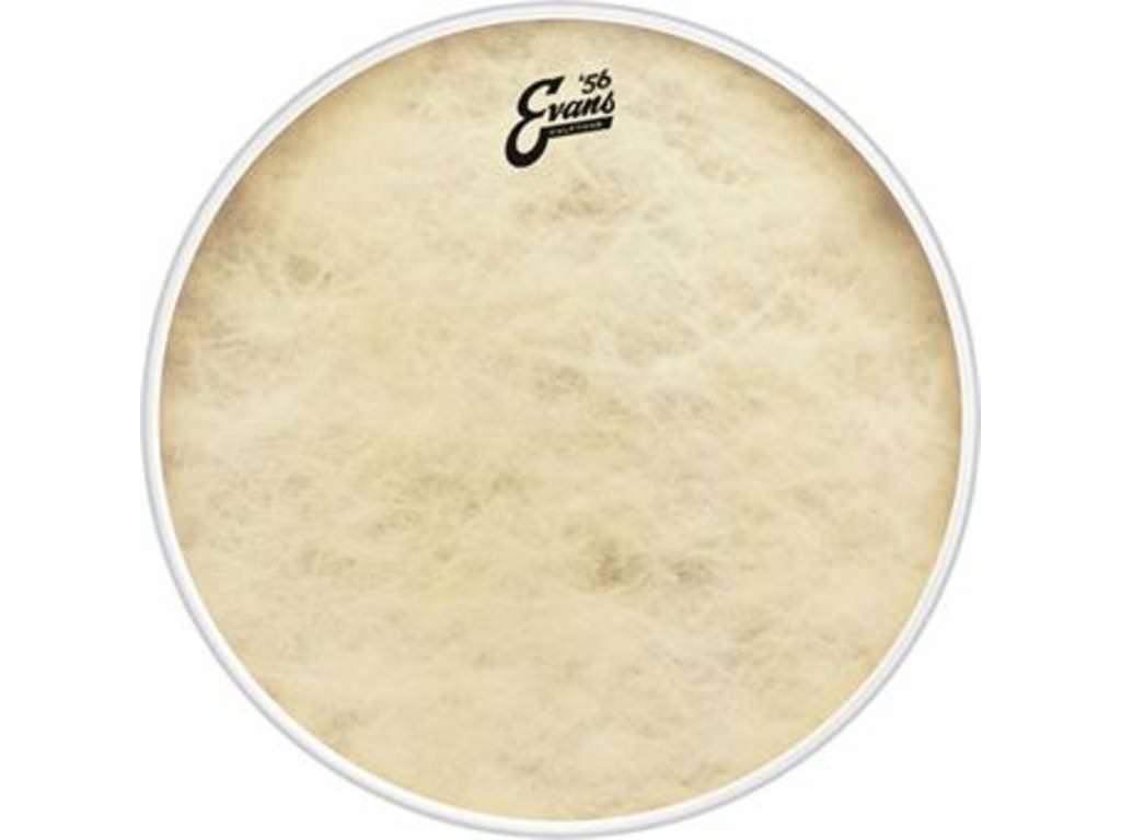 Bassdrum Vel Evans BD22CT, 22", Calftone, -, -, Evans, Ophalen of Verzenden