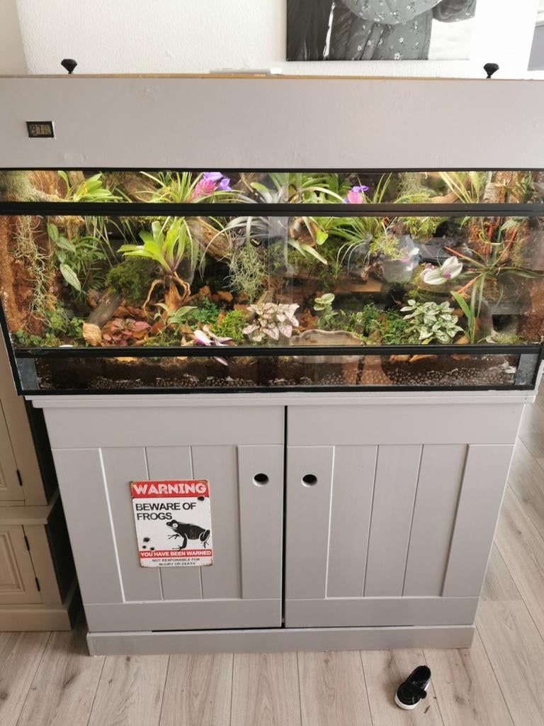 Mooi terraruim helemala. Complewt, Dieren en Toebehoren, Reptielen en Amfibieën | Toebehoren, Ophalen